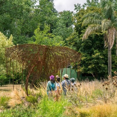 Día de Campo en MuseoCampo Cañuelas de mayo
